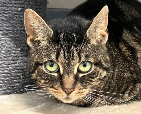 Max